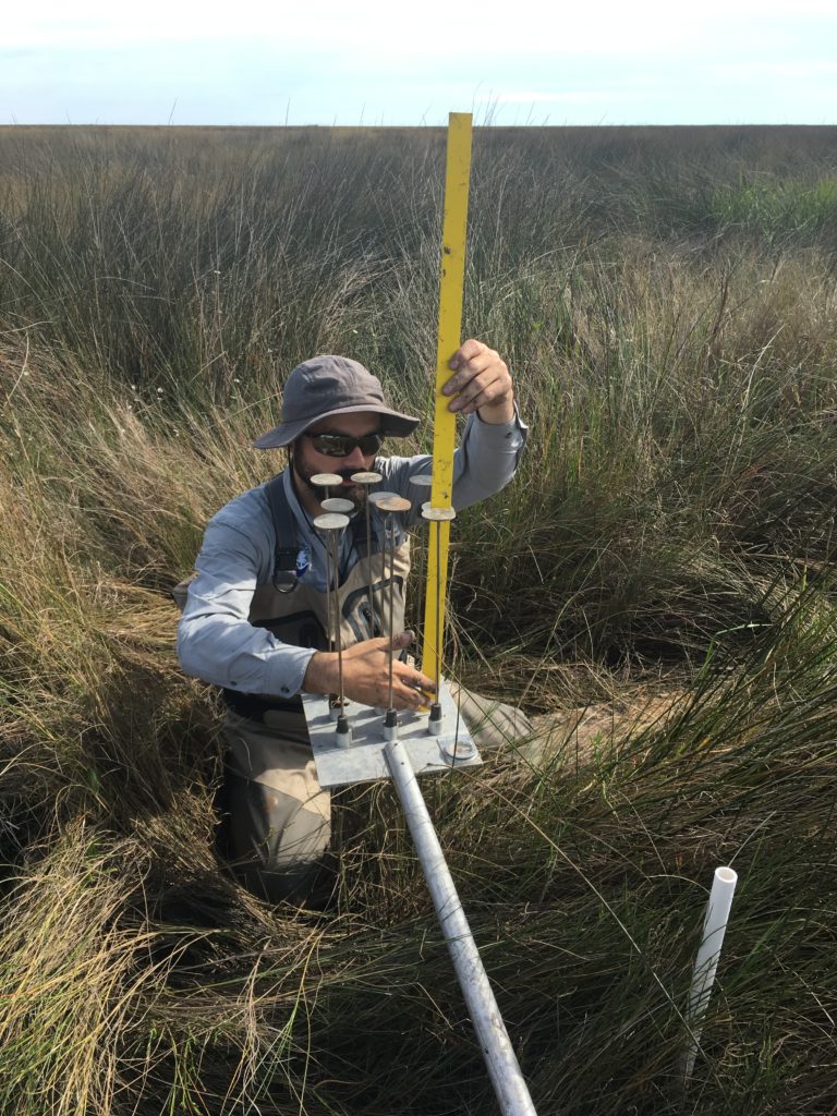 Joel Mancuso taking SET measurements in the Biloxi marshes (November 2018).