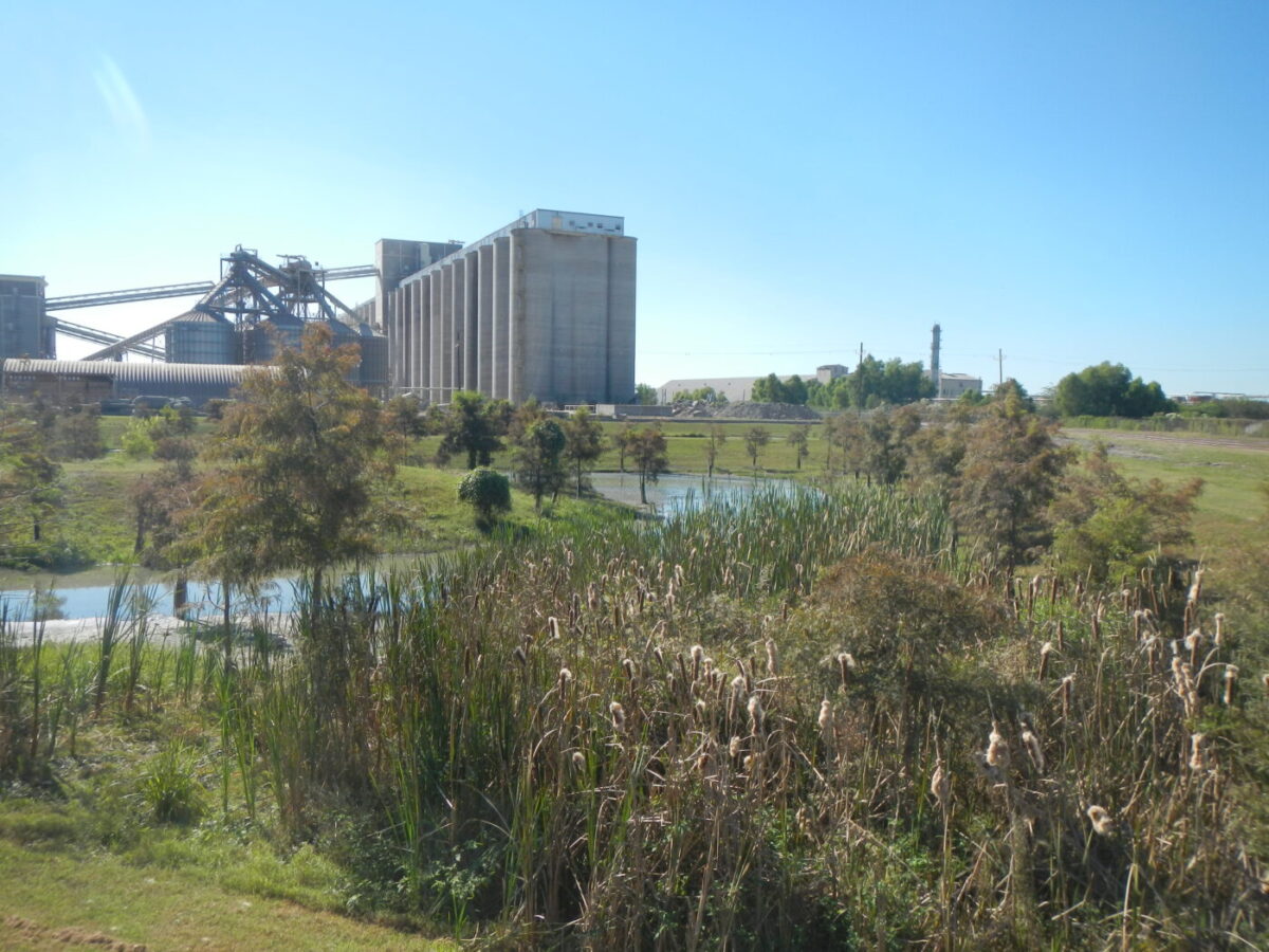 A cattail wetland in the foreground and large grain silos in the background.